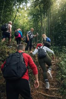 Surelee Homestay - 8