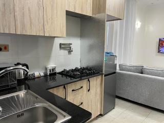 Serenity Residences Studio 2 Ruaka Near Two Rivers & UN Gigiri - 8