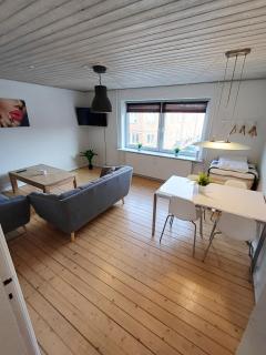 Bright and central city apartment near Aalborg Bus - 2