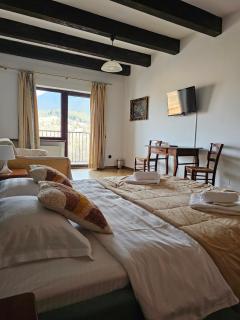 Panoramic Lodge Bran - 3