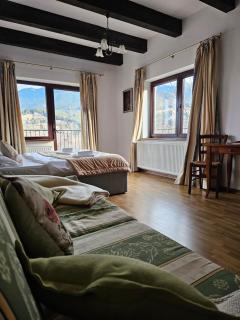 Panoramic Lodge Bran - 2