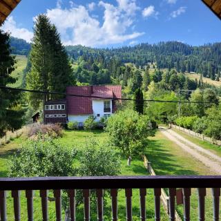 Pensiunea Poieni - 6