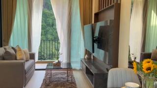 A610 Forest Khaoyai - 9