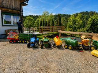 Gipfelruhe-ganzes Ferienhaus mit Sauna, Garten & Spielzimmer- Ramsau am Dachstein - 6