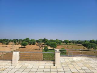 Farm house in Jaipur away from chaos - 4