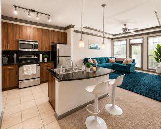 Cozy King Suite - Perimeter Center - 1