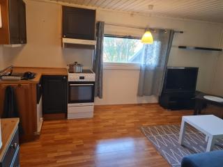 Modern Arctic Apartment - 2