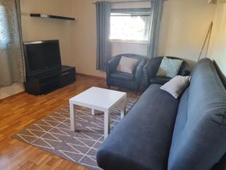 Modern Arctic Apartment - 1