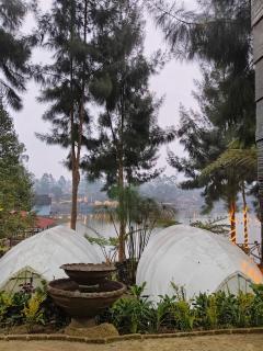 Cabin Family 1 - 6