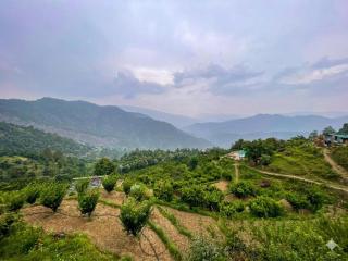 Pahadi Paradise homestay - 4