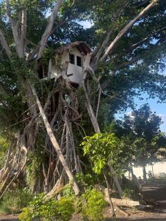 Fireworks Tree House - 5