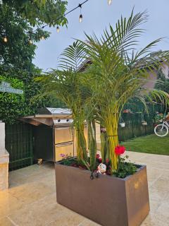 Casa Melisa - 6
