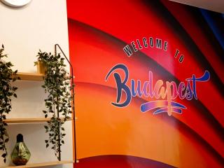 Central and homey apartment with good transport link - Budapest - 0