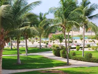 Hawana Salalah Tulip Studio SL - 1