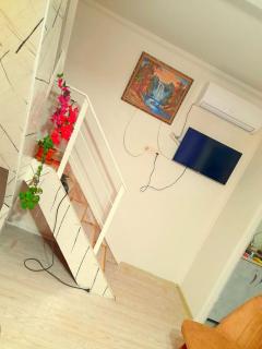 Green House - 7