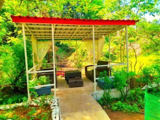 Green House - 5