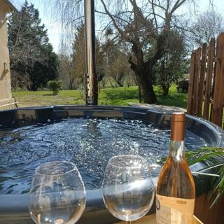 LE GRAND CASTILLON - Gîte avec piscine, pêche avec 2 étangs privés, foret et Jacuzzi en option - 8