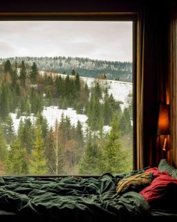 Silence cabin - 3