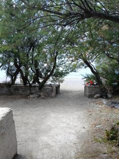 Meraviglia in riva al mare - 8