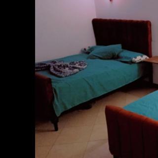 Chalet Palmera resort only for family ain Sukhna-egypt - Ain Sokhna - 9