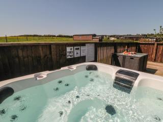 Willow Lodge - Whitby - 9