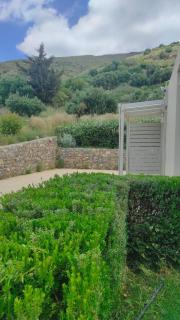 Villa Aias- Private Olive Grove Retreat - 9