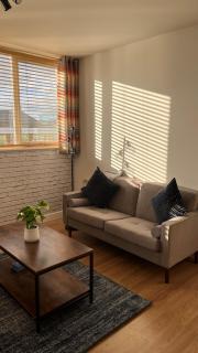 Modern 1 bedroom apartment in Basingstoke - 2