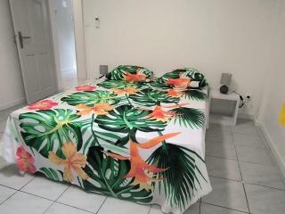 La Renélise- 3 bedrooms in Fort de France - 8