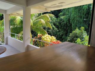 La Renélise- 3 bedrooms in Fort de France - 3