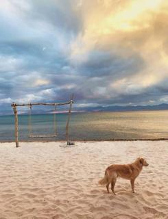 Rosa Beach Camp - 0