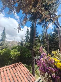 Cusco Forest Gem, 1 Min to Sacsayhuamán, Near the Main Square - 7