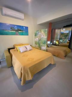 Le loft Acajou - 2
