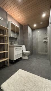 Valley Studio Courtyard Oasis in Central Helsinki - 1