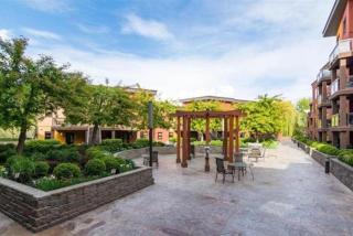Playa Del Sol 2 Bdrm 649 w Mountain Views - 8