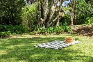 Treehaven House & Cottage - Maleny Retreat - 4