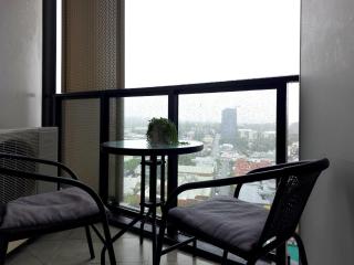 20th-Floor Urban Oasis FV - 9