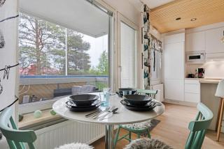 Finnish Apartment, Private Sauna By Lapland Host - 2