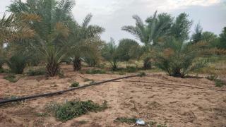 Maanjoofarms Pilani - 2