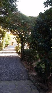 Villa Salvini - 8