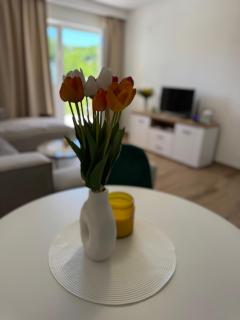 Magic Home Cetinje - 1