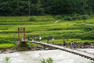 Nhà Gỗ Cạnh Suối - 7