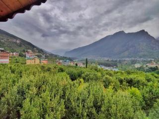 Cottage Palzey Manali - 6