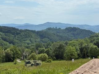 Wilcza Osada Wellness Resort - 8