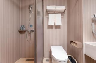 Hanting Hotel Hefei Wealth Plaza North First Ring Road - 5
