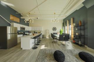 Luxury 6BR Suite Prime South Loop Perfect Location for Families or Groups Near Soldier Field, Museum Campus & McCormick Place - 9