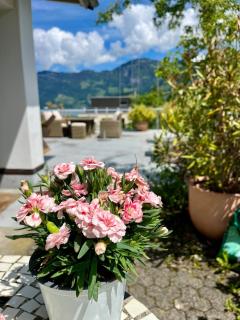 Lakevieuw - Luzern - See - Berge - Pilatus - 5