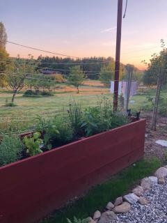 Beautiful cottage, a rural getaway - 6
