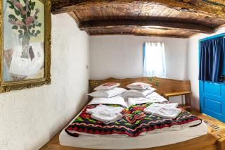 CASA HAIDUCILOR Green Codru - 8