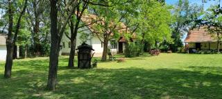 Salaš Šapat Ravnice - 6