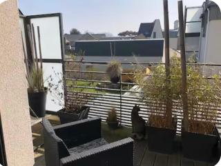 Duplex Rotheneuf - 1